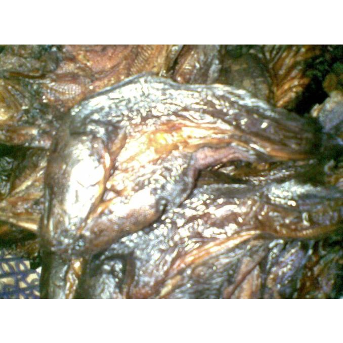 

[COD] Ikan Lele Sale / Asap [COD]