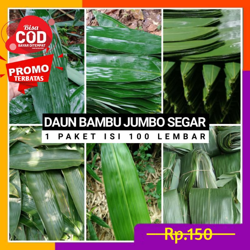 

Daun Bambu Segar Bungkus Bakcang Isi 100 Lembar