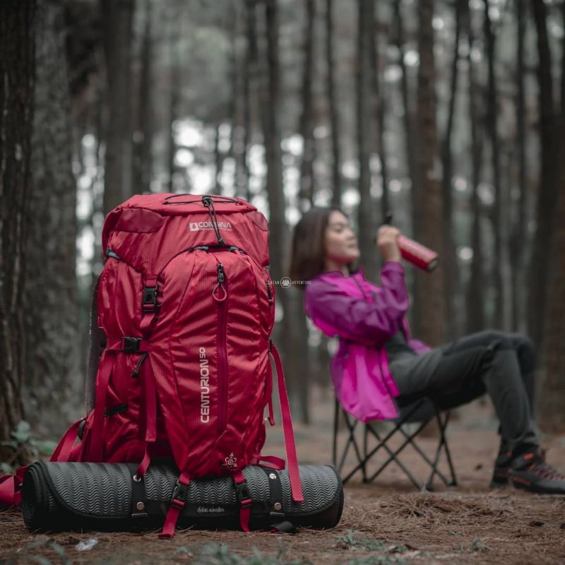 tas gunung tas camping carrier consina centurion 50