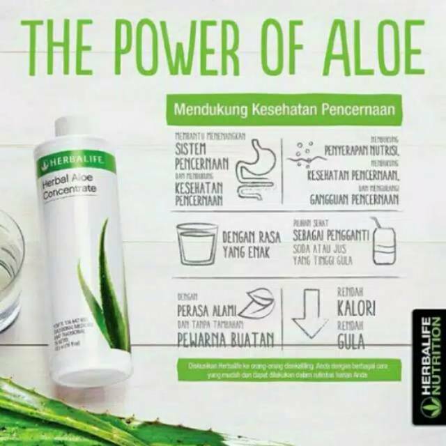 Manfaat Aloe Herbalife Untuk Maag Reiki Healing