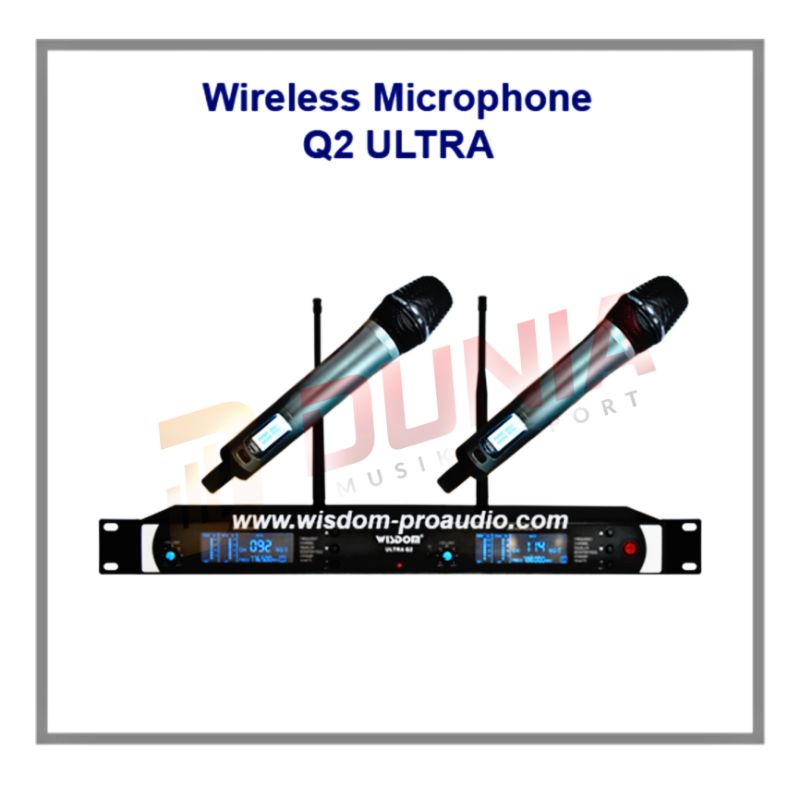 Mic Wireless Wisdom Q 2 Q2