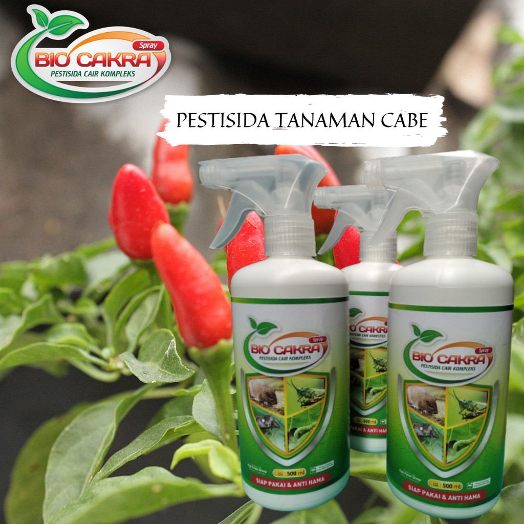 Pestisida Untuk Lalat Buah Cabai, Bio Cakra Pestisida Cair Kompleks Pestisida Untuk Tanaman Cabe
