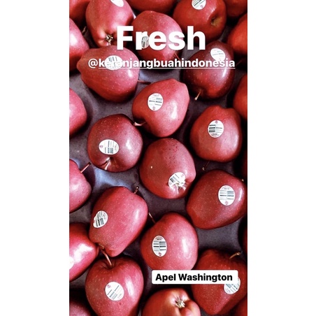 

Buah Segar Apel Washington, Apel Washington