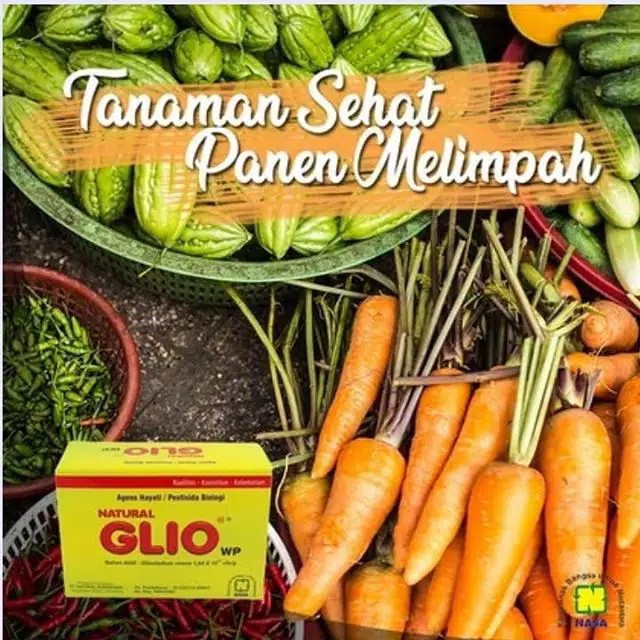 Ampuh Glio Nasa Membasmi Penyakit Pada Tanaman / Glio Nasa Pengendali Hama / Glio Nasa Original