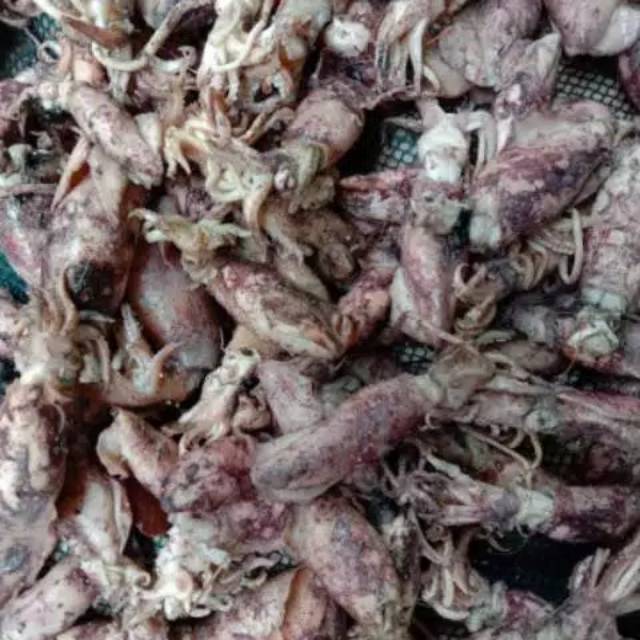 

Cumi teLur besar & sedang 250gram
