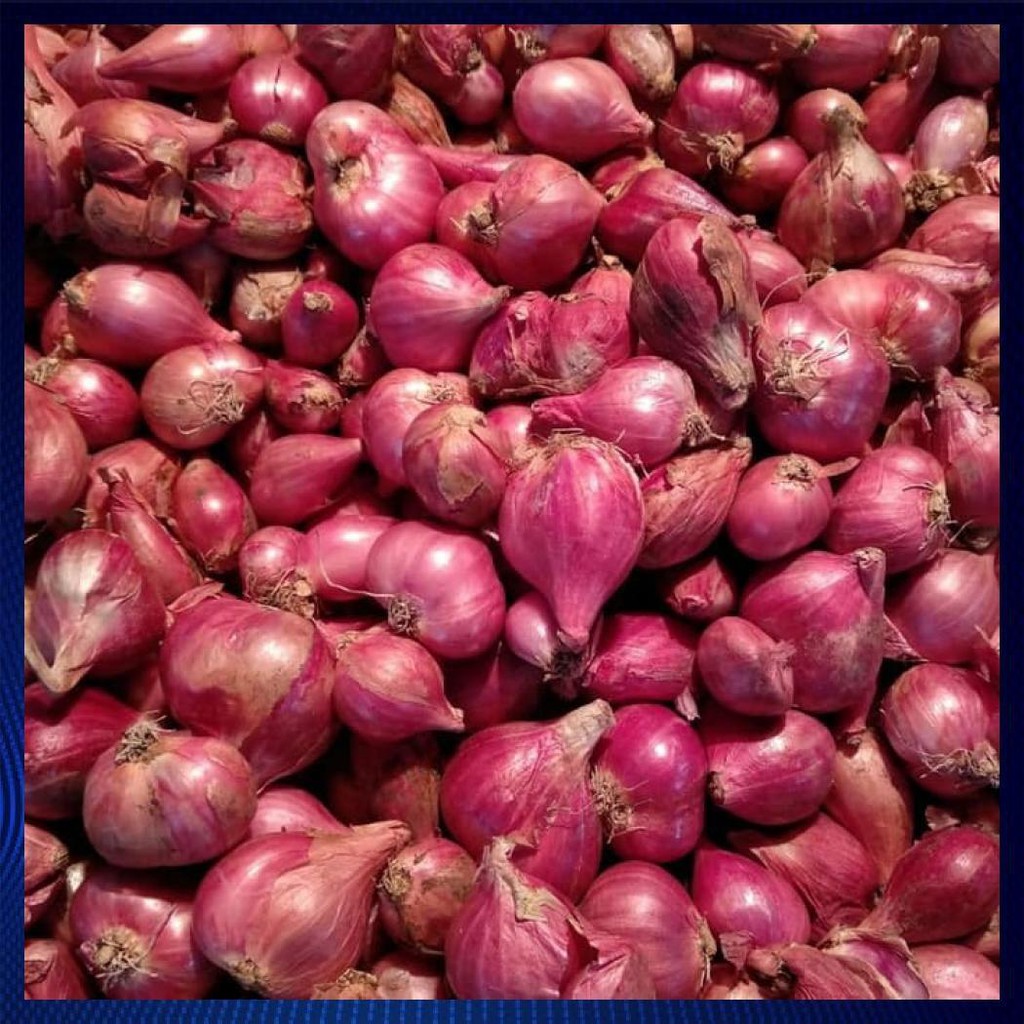 

BAWANG MERAH