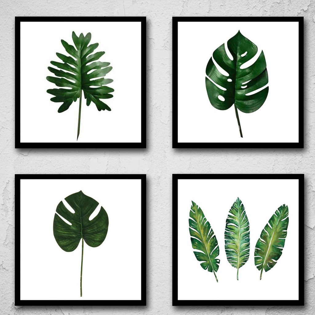  30x30cm POSTER WALLDECOR GAMBAR DAUN MONSTERA  omages 