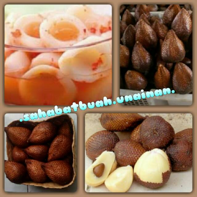 

Salak pondoh#buah#vitamin C