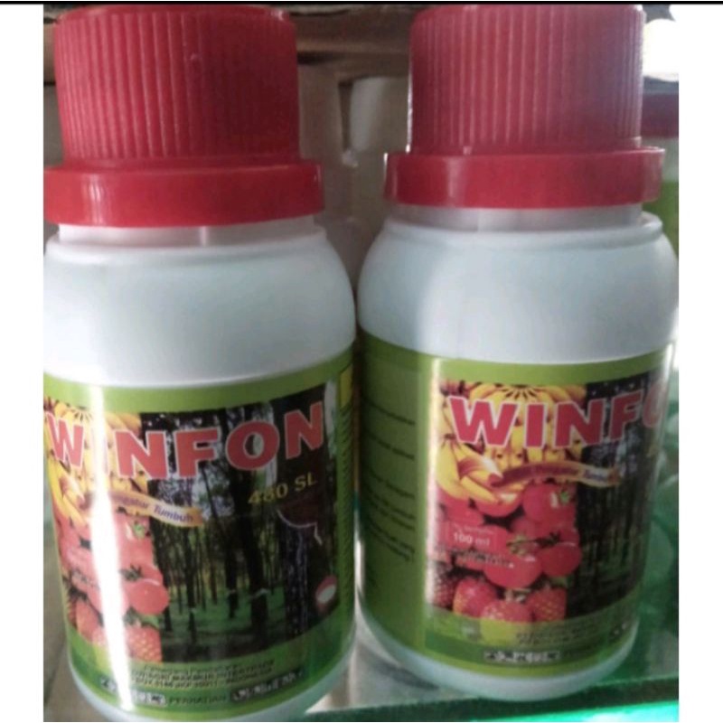Pematang buah WINFON kemasan 100 ml