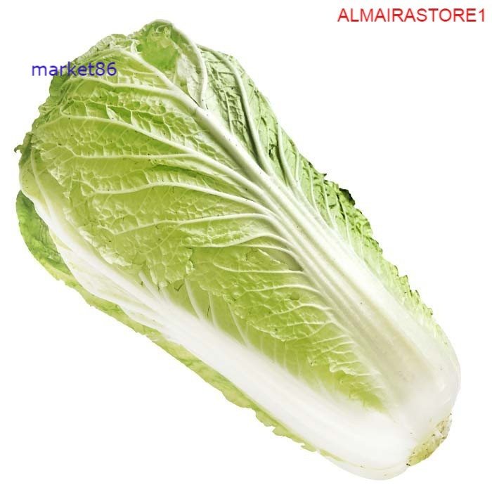 

Grosir Sayuran Segar Sayur FRESH Sawi Putih 1Kg - Market86