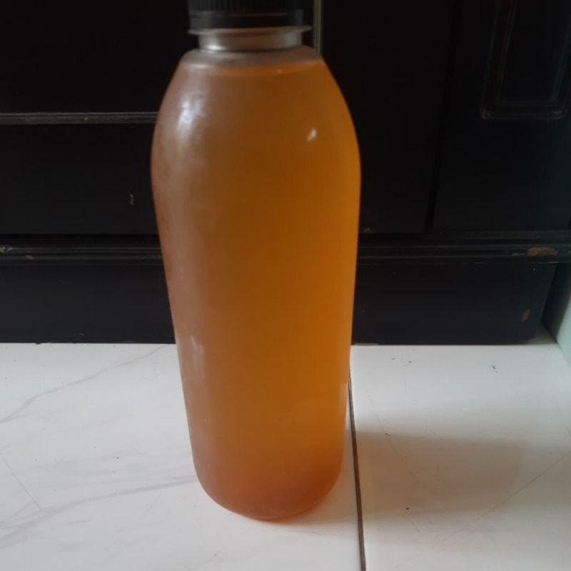 

kombuca green tea