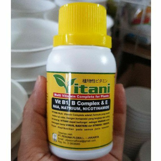 Vitamin B1 cair vitani liquinox start B1 plus B1 Thailand pupuk untuk perangsang akar tanaman anti stres