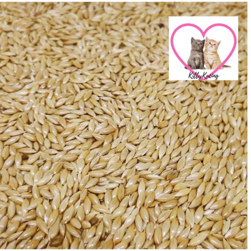 Kenari Seed Makanan Burung 500gr