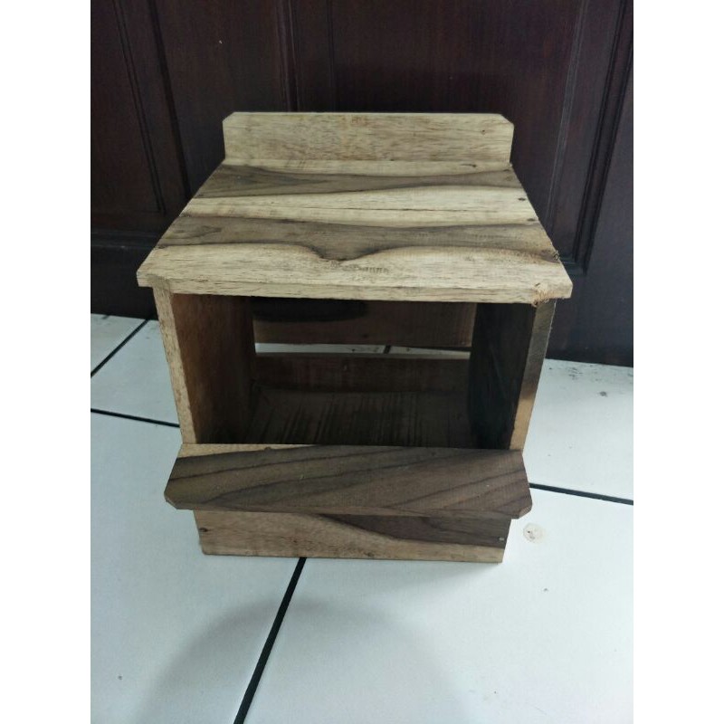 glodok murai/glodokan murai/glodok burung murai