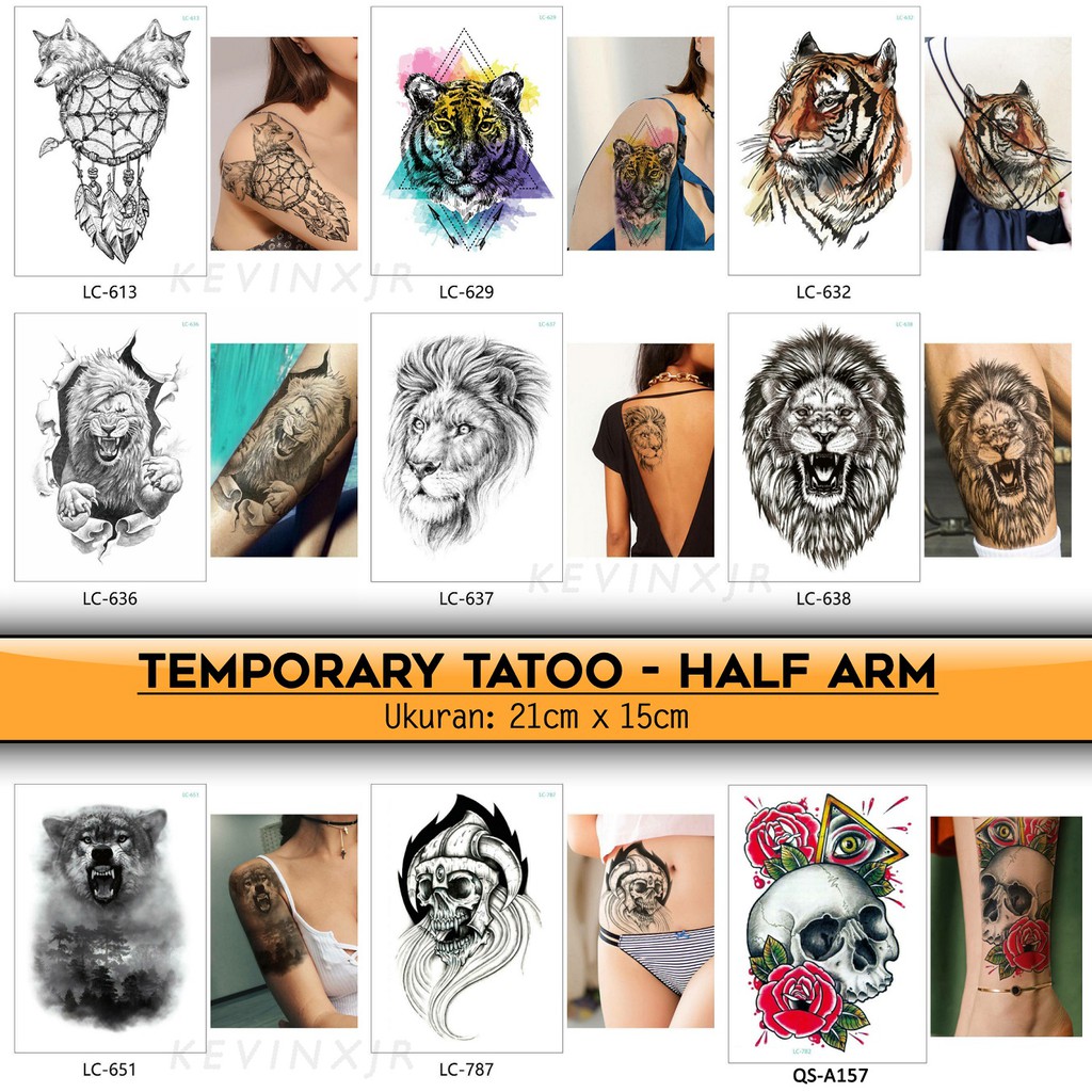 13 Foto Tato Doraemon Rudi Gambar