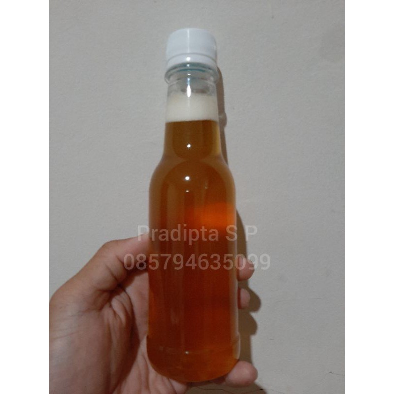 

MADU MURNI PAHIT APIS CERANA NEXTAR BUNGA SINGKONG -+ 340 gr