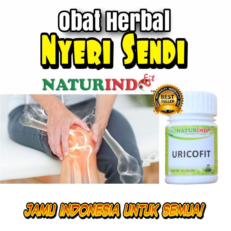 

obat asam urat nyeri sendi pegal linu herbal alami ampuh