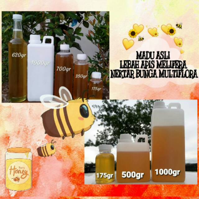 

Madu asli dari lebah apis melifera