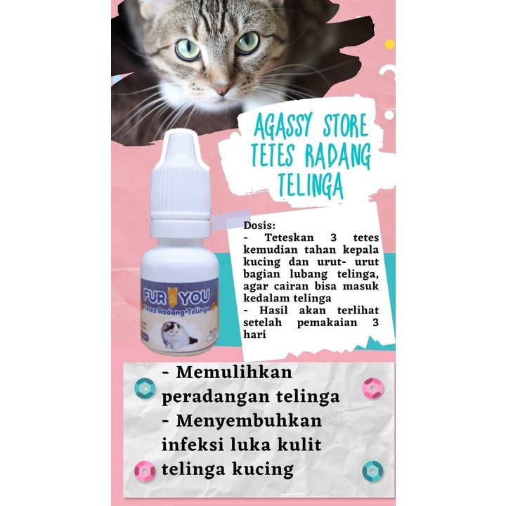 furYou Obat Radang Telinga kucing telinga kucing keluar cairan paten