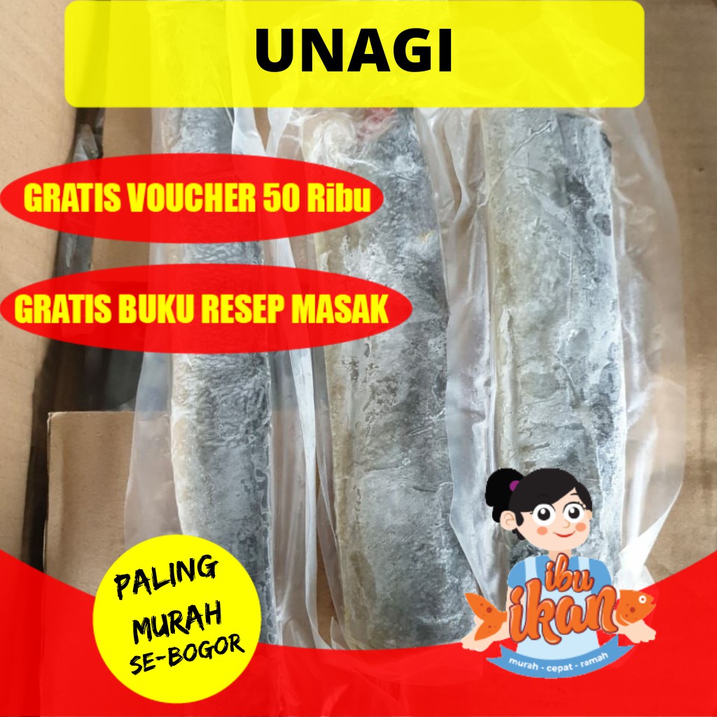 

UNAGI SIDAT POTONG 150-200 GRAM UNTUK KABAYAKI MURAH