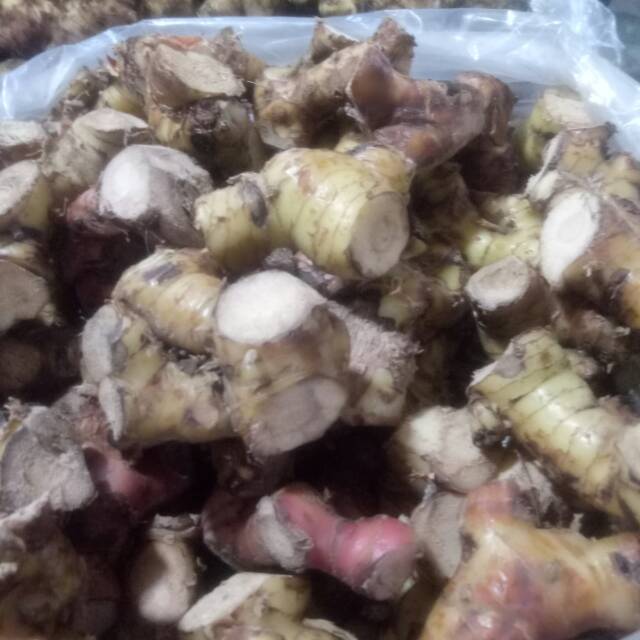 

Bumbu dapur Lengkuas 500gr