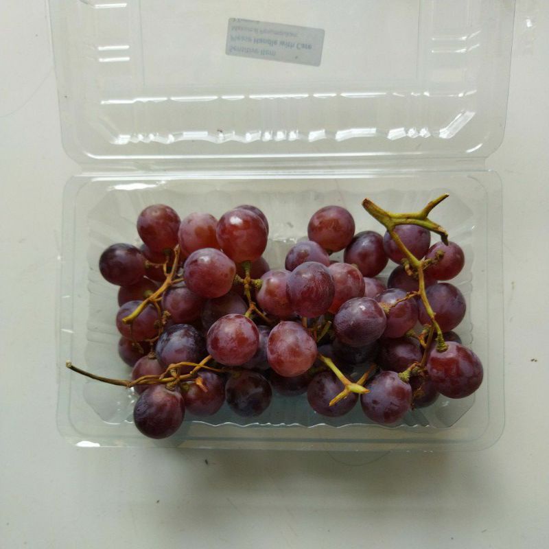 

Anggur Red Globe Segar & Fresh 500 gr