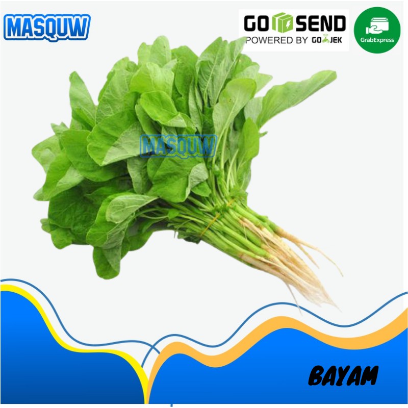 

SAYUR BAYAM BAYEM HIJAU PER IKAT 1 IKET/ SAYUR SAYURAN SEGAR FRESH SIDOARJO MASQUW