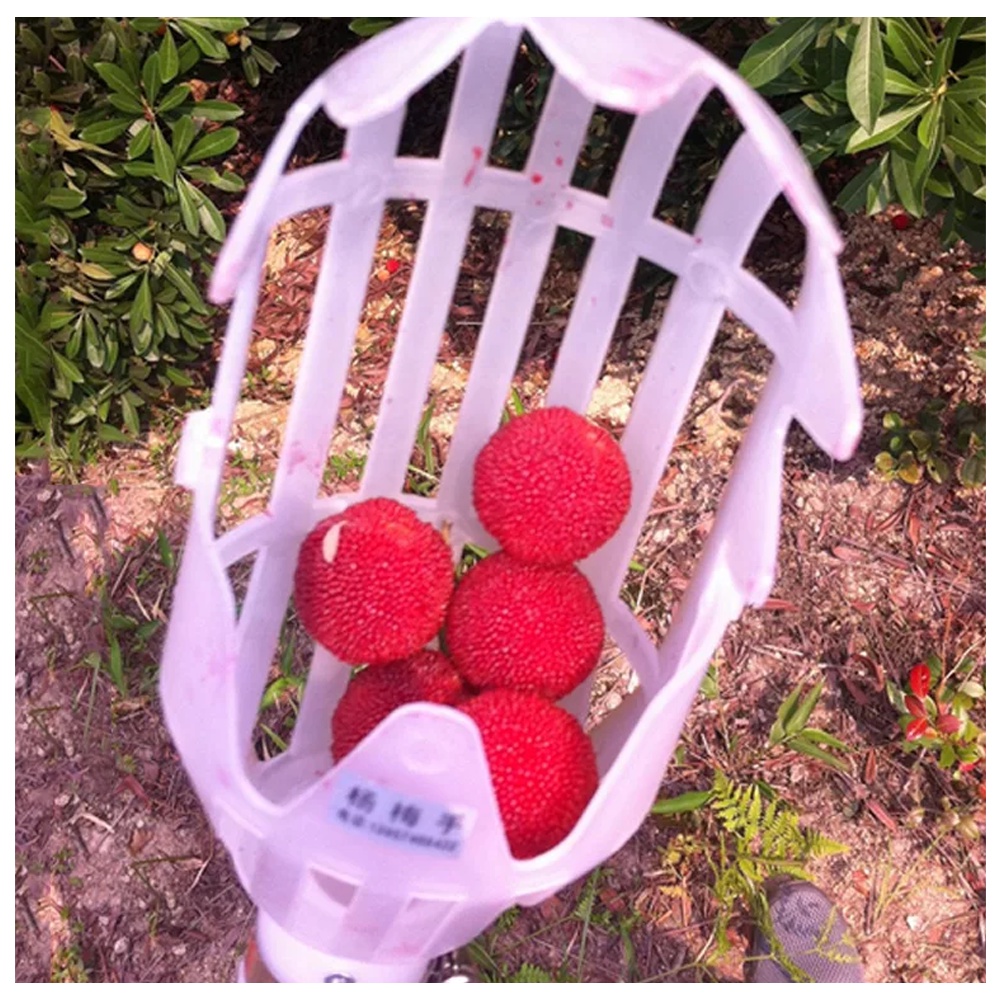 Alat Pemetik Buah Sekop Petik Buah Garden Fruit Picker