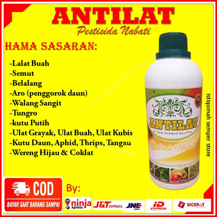 Obat Antilat atasi Hama Tanaman - Obat Hama Lalat Buah, Belalang, Walang Sangit, Wereng, Dll