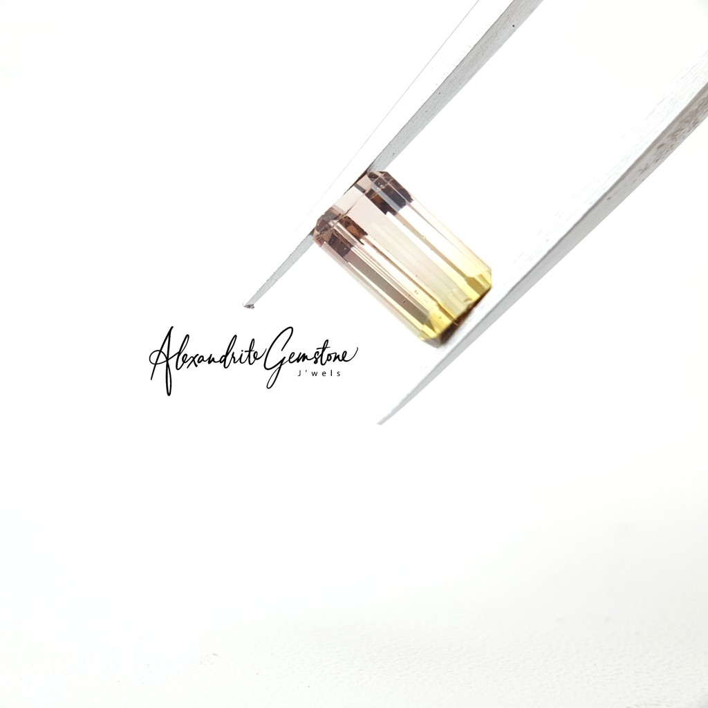 AG Jewellery T0221003 - Natural Bicolor Tourmaline No Heat Afghanistan