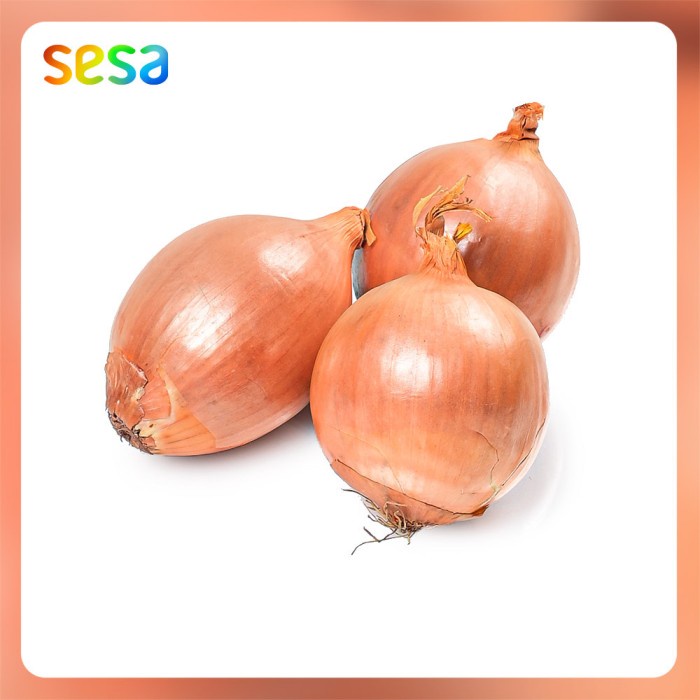 

Fe08774g Bawang Bombay 500G F3E1F111