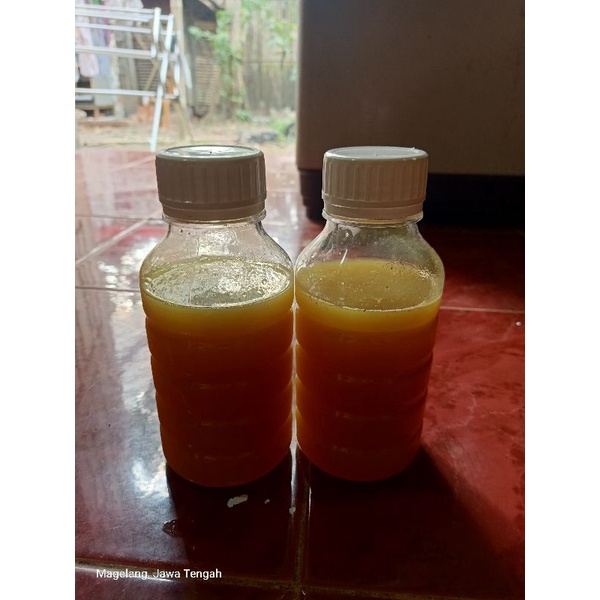 

Madu Asli Kaliandra