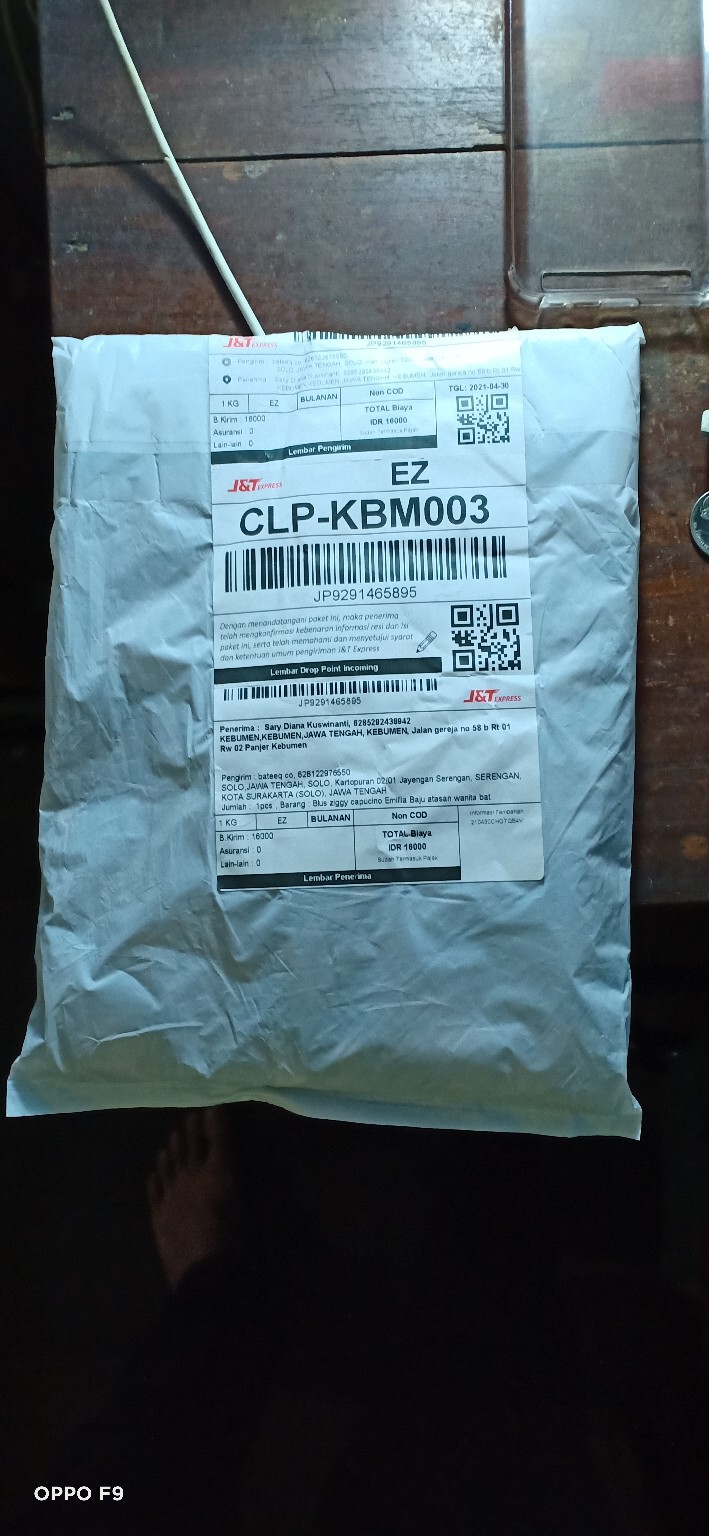 Blus Ziggy Capucino Emillia Baju Atasan Wanita Batik Etnik