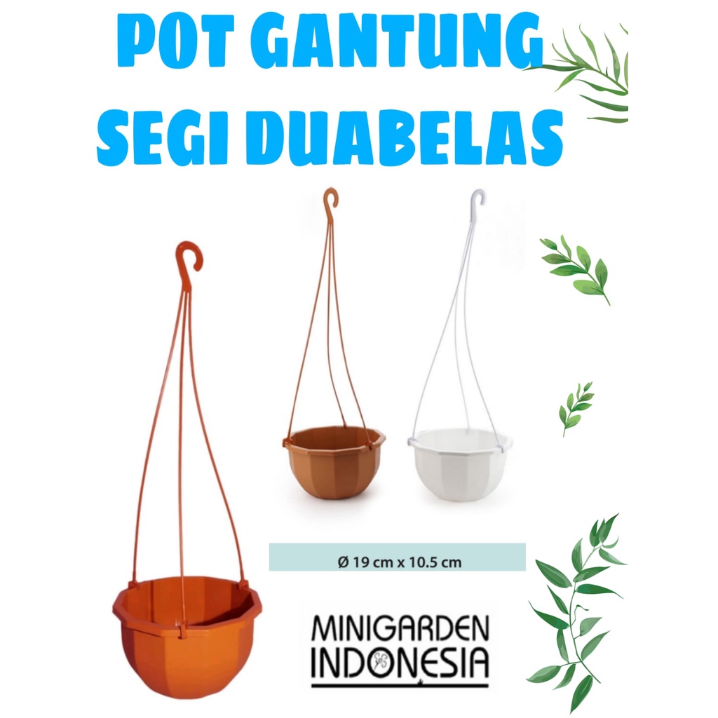 POT GANTUNG SEGI DUABELAS 19CM pot tanaman hias segirolas pot plastik eriko segi rolas pot tempel