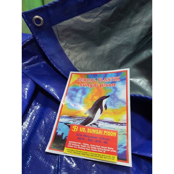 TERPAL PLASTIK A3 6x8 meter GROSIR