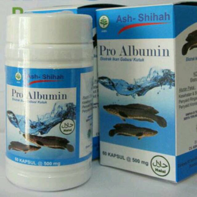 Obat Penambah Albumin Pro ALBUMIN