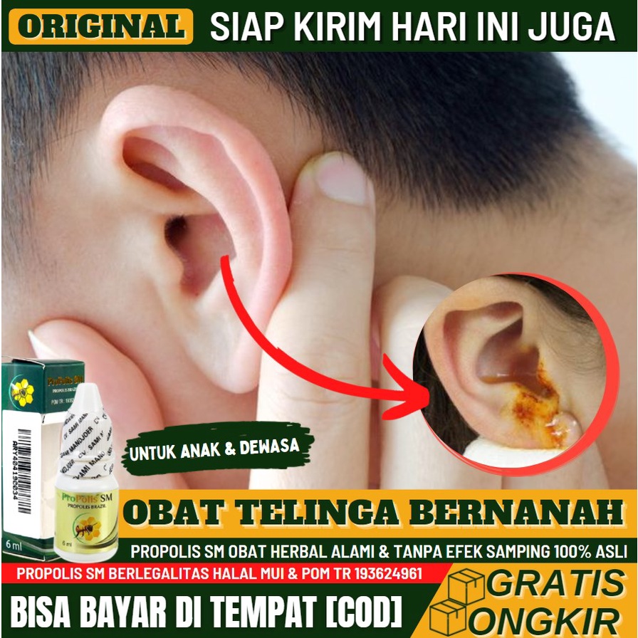 Obat Sakit Telinga Bernanah 100% Alami, Obat Tetes Telinga Keluar Cairan Kuning, Obat Congek, Obat T
