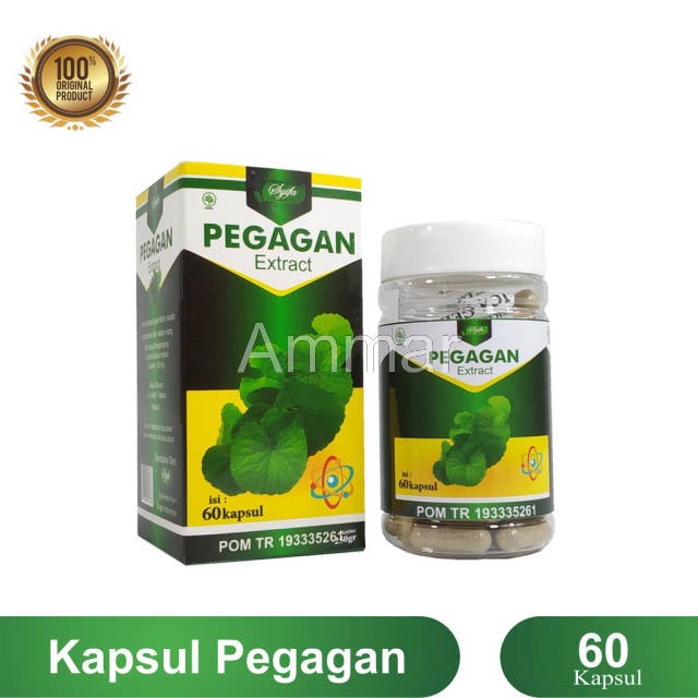 Jual Ammar Kapsul Ekstrak Daun Pegagan 100 Original 60 Kapsul Syifa