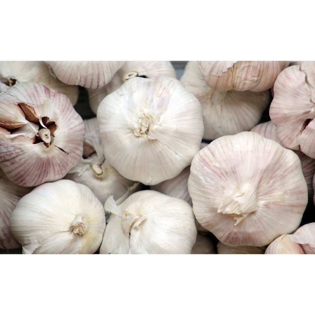 

Bawang Putih Kiloan - Balikpapan