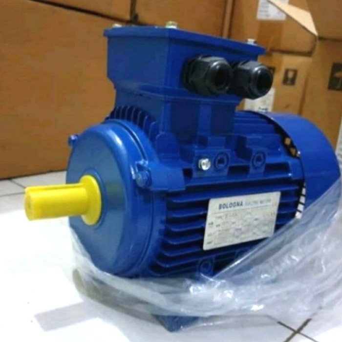 dinamo penggerak bologna 0.5hp 2pole 2800rpm 1 phase