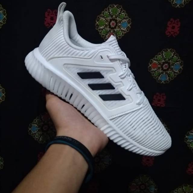Original BNWB Sepatu Running Adidas Climacool White Black