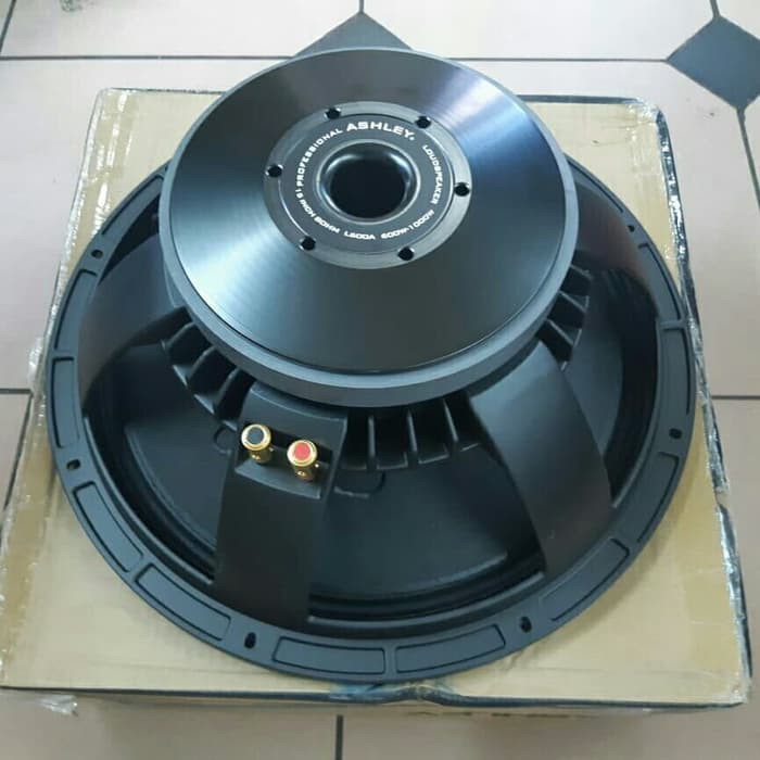 SPEAKER ASHLEY 15 INCH L600A ORIGINAL 