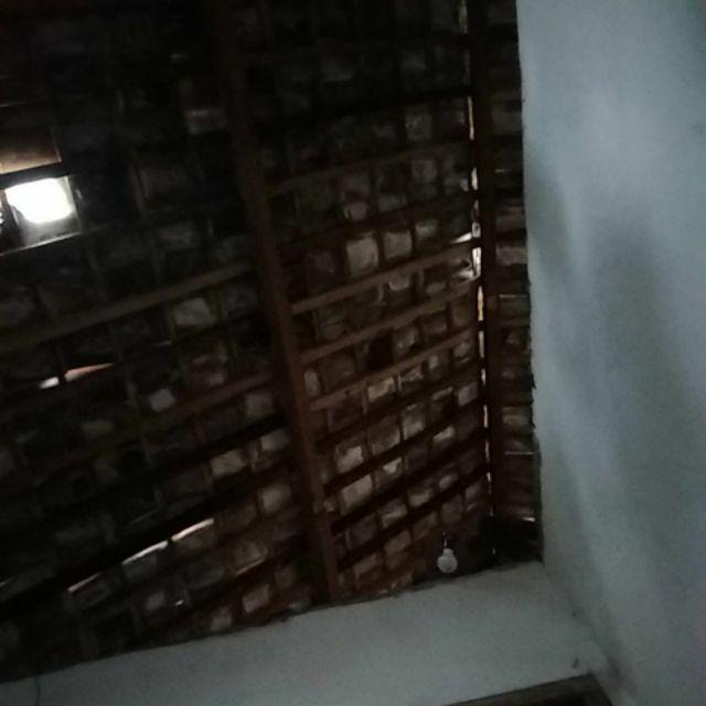 Gayung Air / Gayung Mandi Hommy Fonzie Miring - 950 Ml