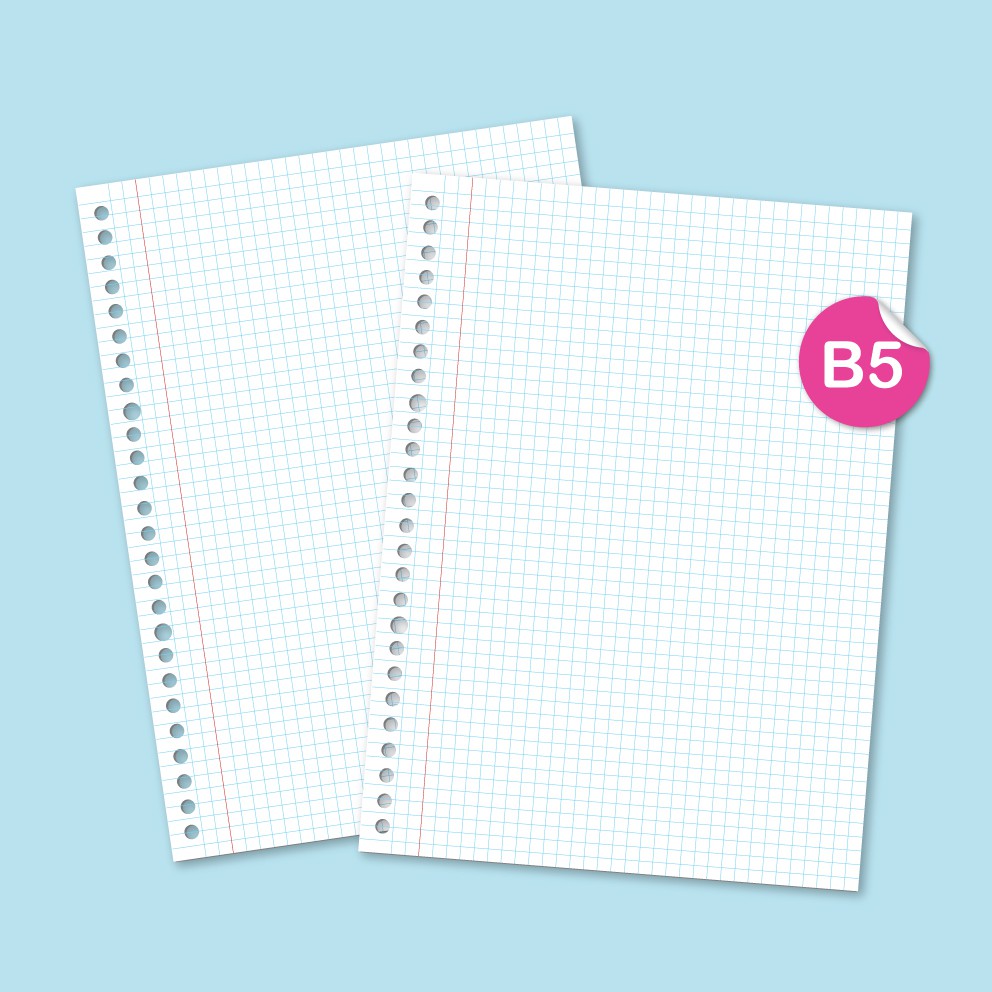 Loose leaf B5 Grid  EXERCISE Kertas  Binder Shopee 