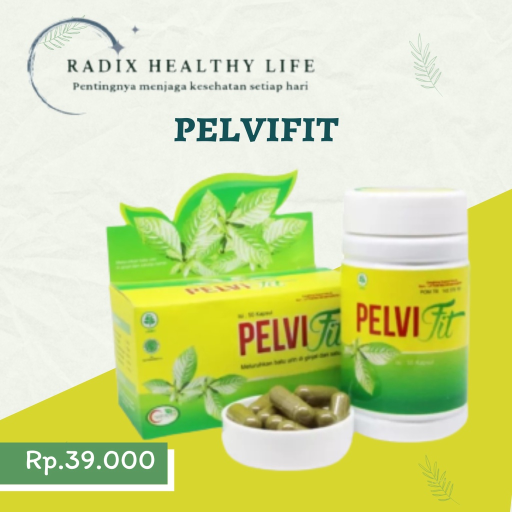 Pelvifit Obat Batu Ginjal, Batu Empedu, Batu Kandung Kemih, Merawat Ginjal, Sakit Pinggang