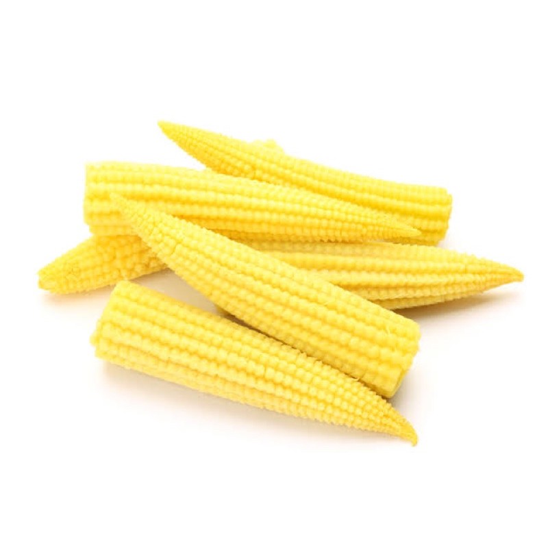 

jagung muda baby corn segar