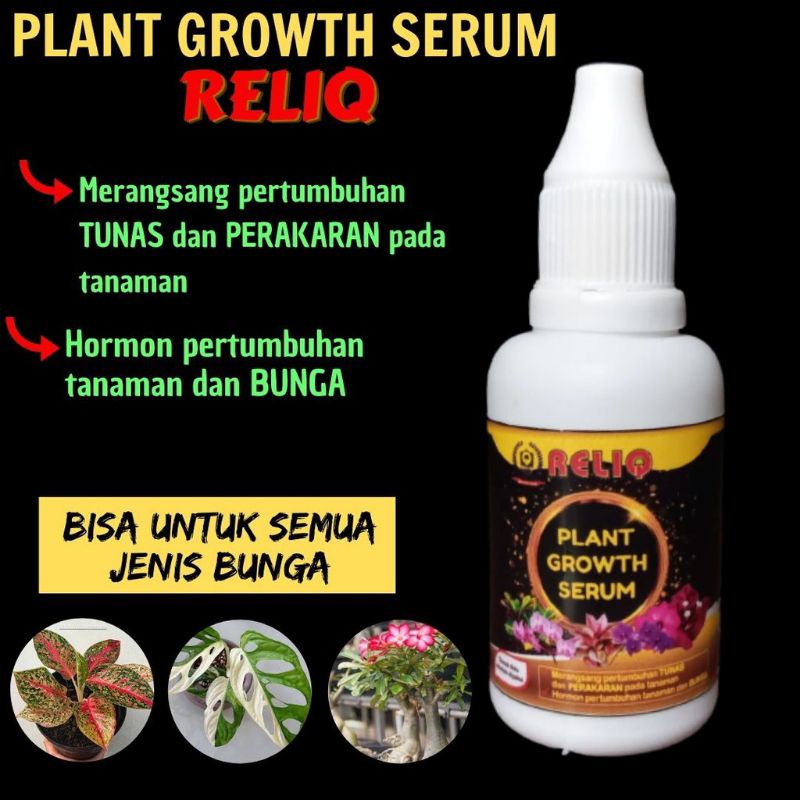 pupuk perangsang tunas aglonema dll