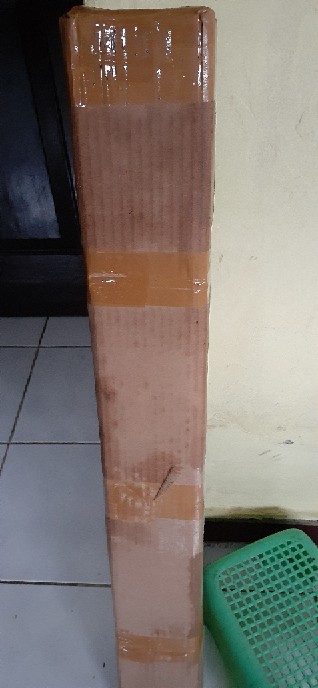 Bibit Tanaman Bunga Sepatu Ganda Pohon Bunga Sepatu Double Ungu Kuning Merah Pohon Kembang Sepatu