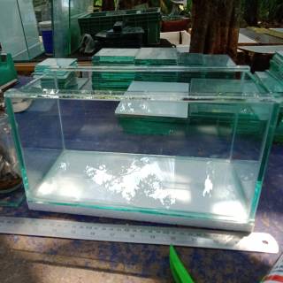 43 Koleksi Aquarium Cupang Shopee Terbaik