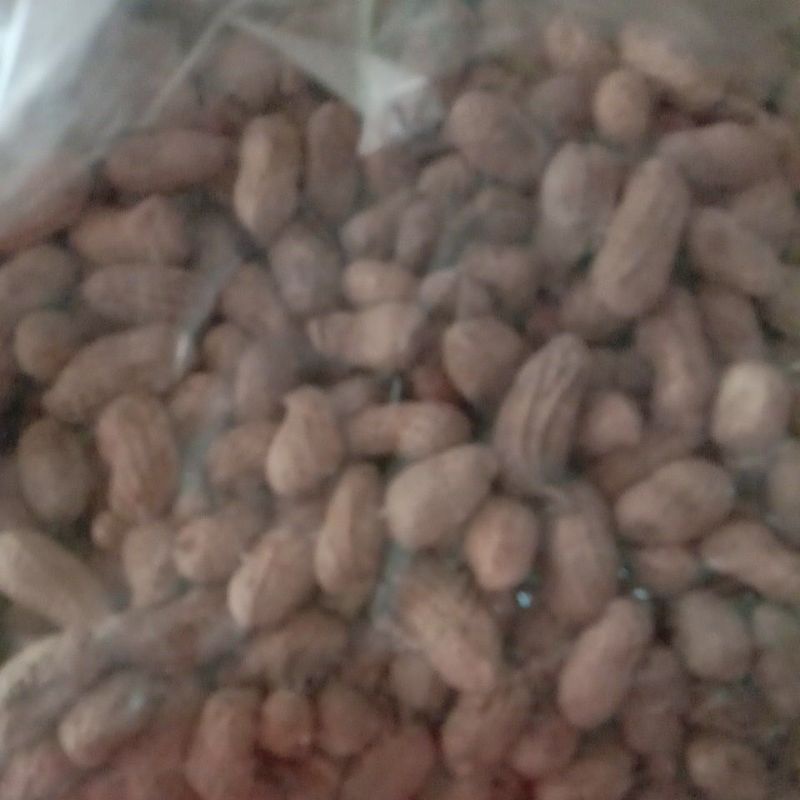 

kacang kulit 1 kg